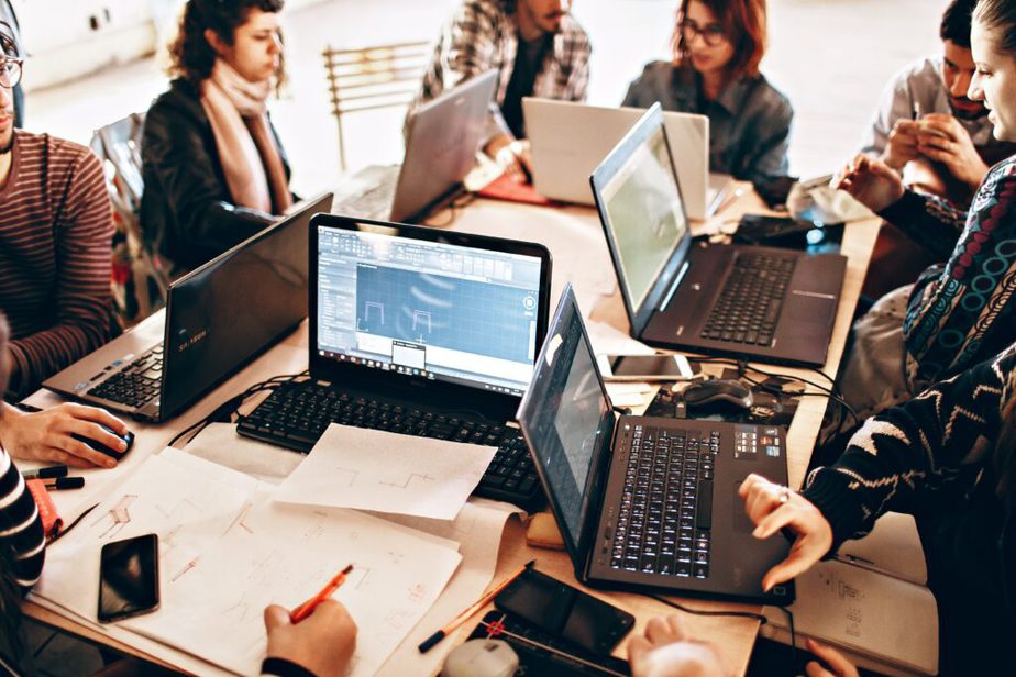 people sitting in front of laptops