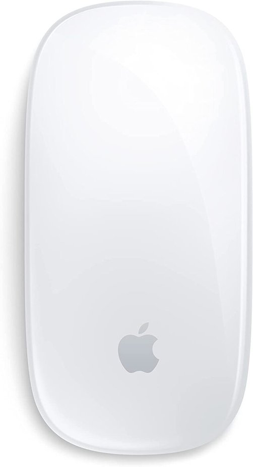 wireless mouse for laptop Apple Magic Mouse