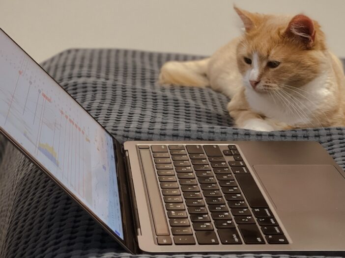 cat and laptop image
