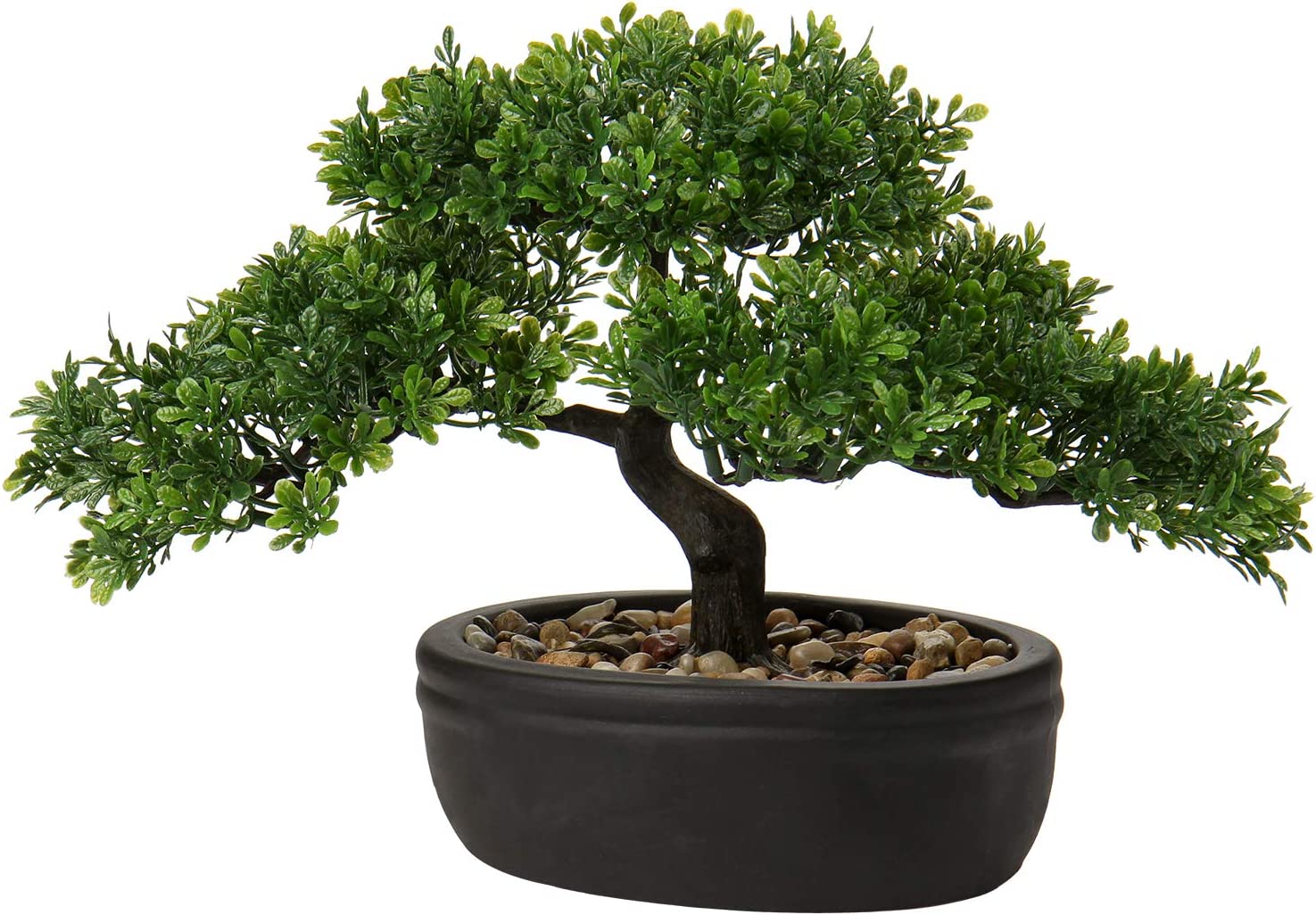 fake bonsai image