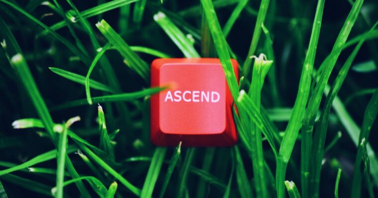 keycap in grass image