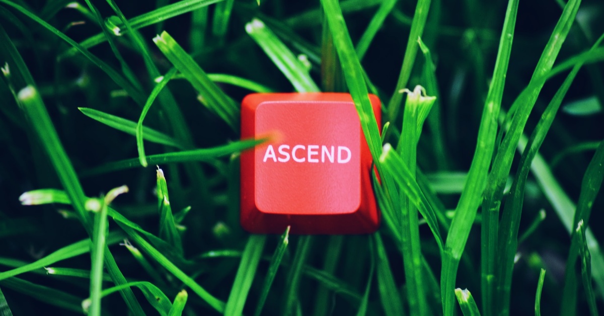 keycap in grass image
