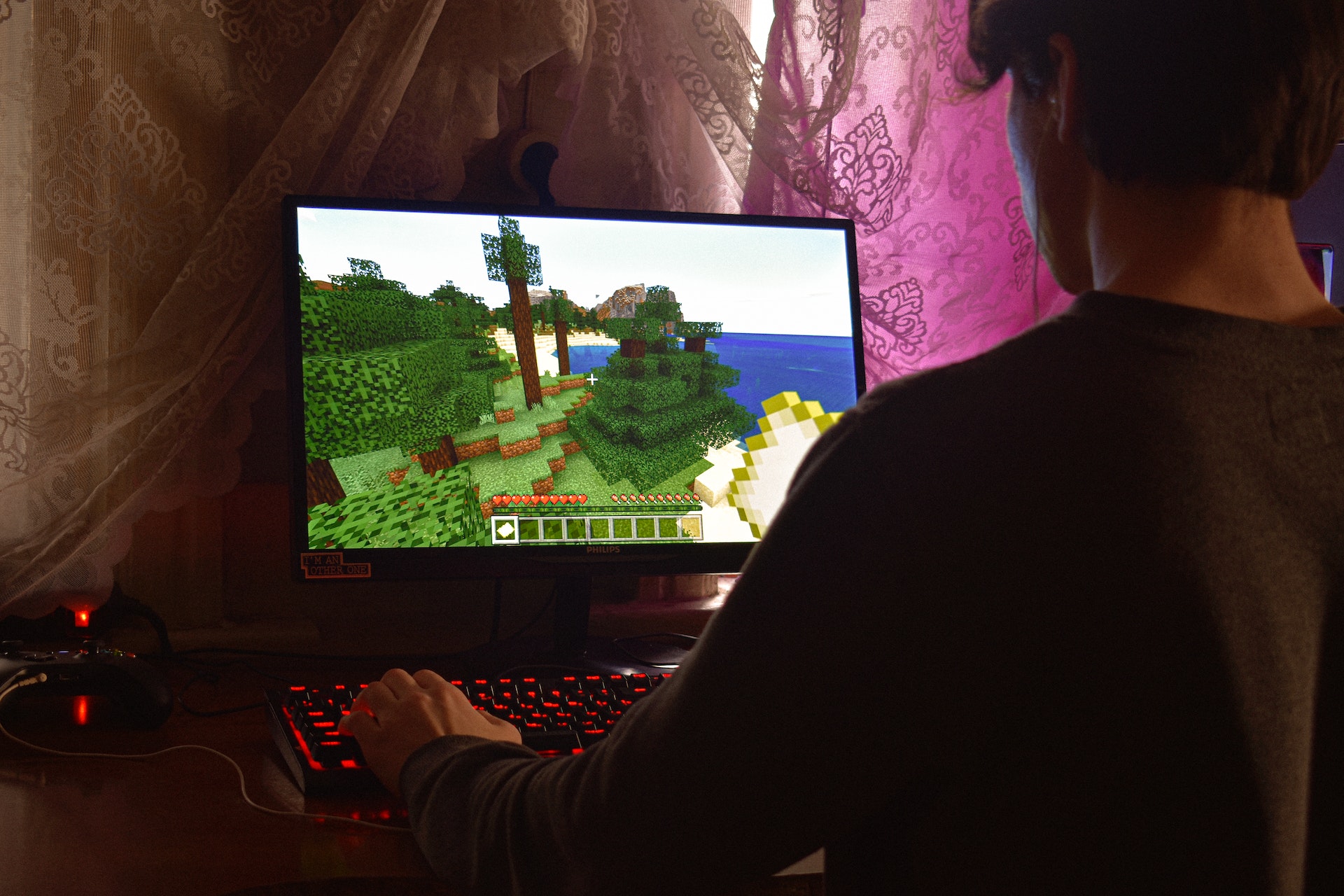 minecraft-gameplay-image