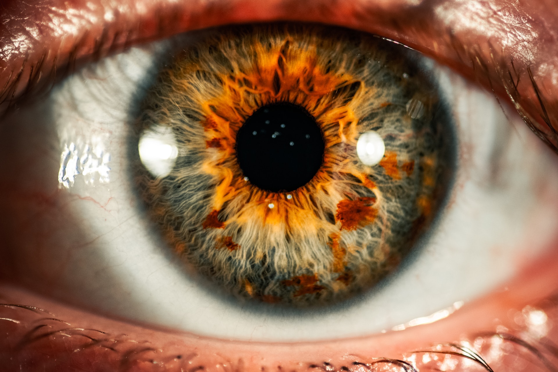 human eye closeup
