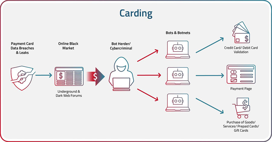 carding tutorial for pro and beginners